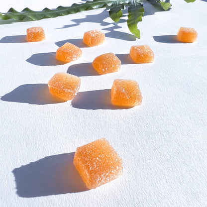 Concentrate Mushroom Gummies 5-piece Sampler