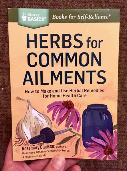 Herbs for Common Ailments