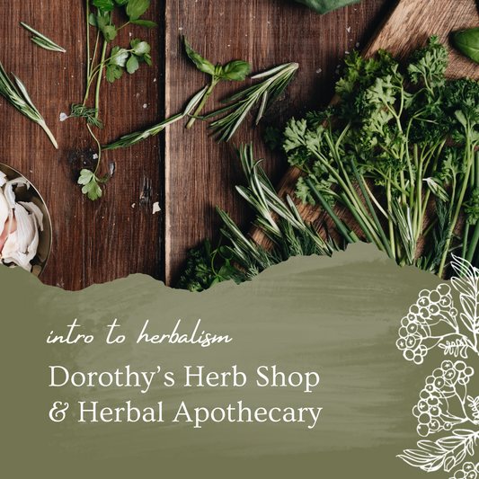 Intro to Herbalism with Dorothy’s Herb Shop March 2025