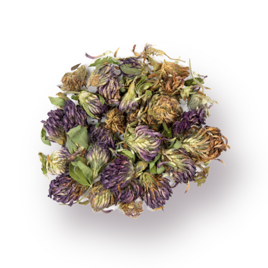 Red Clover Blossoms Bulk Herb