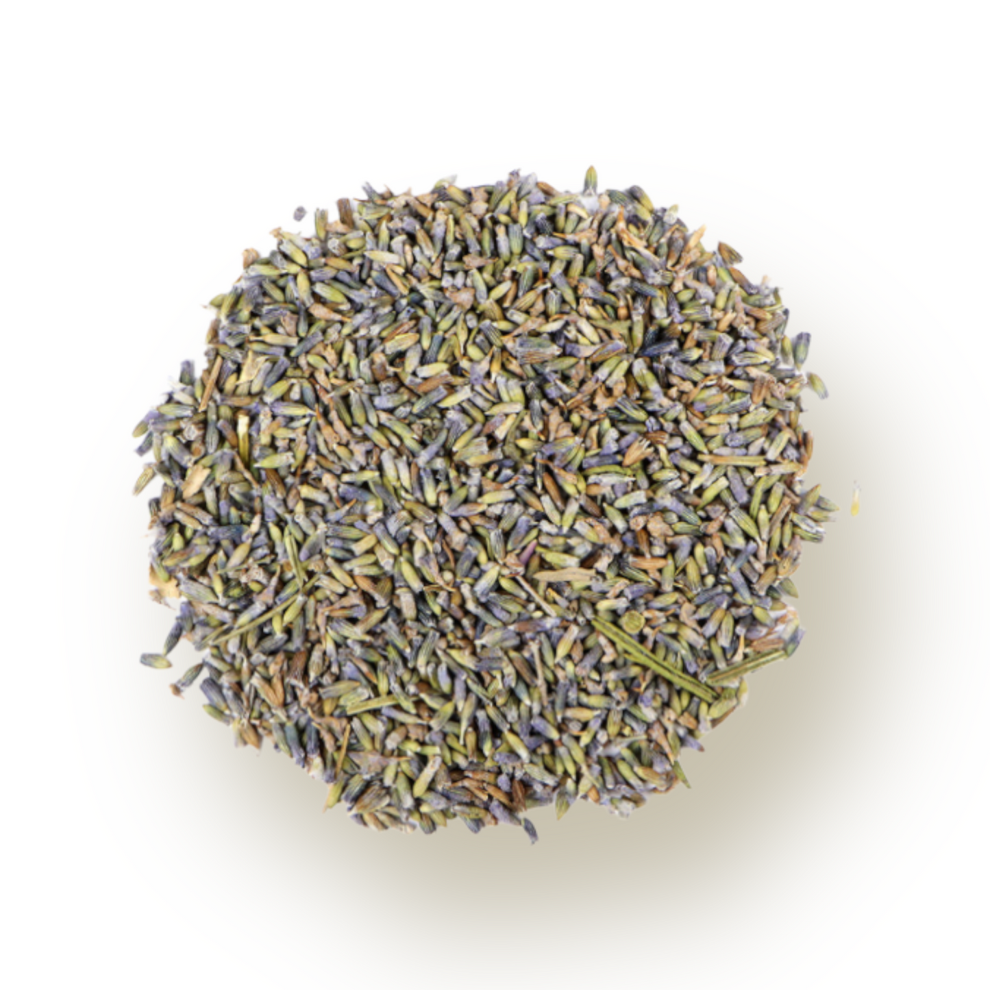 Lavender Flower English Bulk Herb