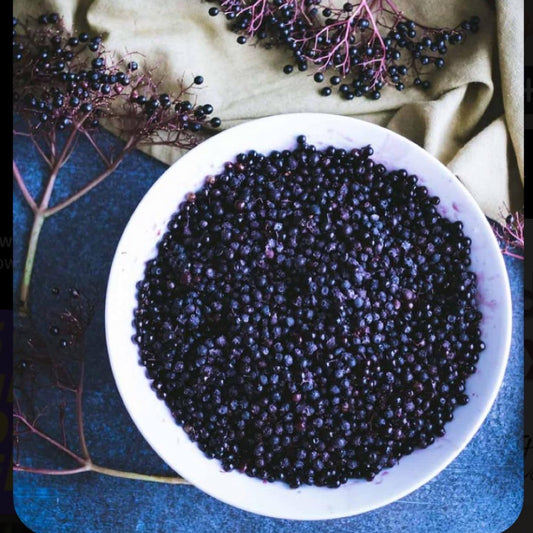 Organic Elderberry Syrup Kit